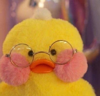 娱乐吃瓜鸭男人品种