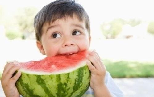 娱乐吃瓜酱棉袄猫窝,揭秘明星温馨家居生活